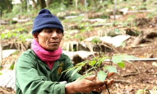 Thực hiện mô hình điển hình tiên tiến trong cộng đồng người dân tộc thiểu số