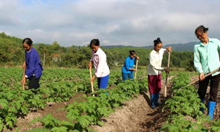 Bắc Giang quy định cơ chế lồng ghép nguồn vốn giữa các chương trình mục tiêu quốc gia 