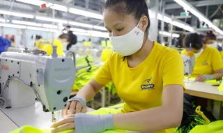 Ngành nghề nào giảm lao động lớn nhất ở TPHCM năm 2023?