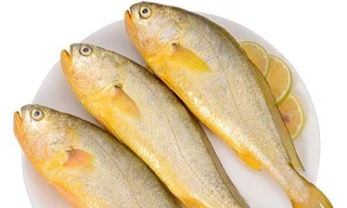 Đi chợ thấy những loại cá này nên mua ngay bởi cá ngọt thịt, ít xương lại giàu dinh dưỡng