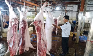 Lộ sai phạm kiểm soát tại lò mổ heo cho Công ty C.P Việt Nam