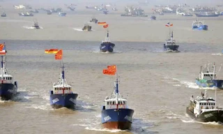 Tàu cá Trung Quốc thường đánh bắt theo nhóm. Ảnh: BI