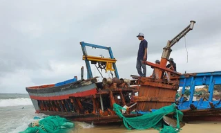 'Mưa gió dị thường ở Nam Trung Bộ gây thiệt hại nặng hơn bão cấp 11-12'