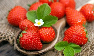 Dâu tây vào mùa, ngon khó cưỡng, lại mang đến nhiều lợi ích bất ngờ cho sức khỏe