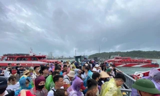 Hủy tour vì bão, sân bay đóng cửa, khách quốc tế xoay xở thế nào? 