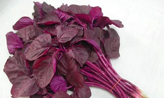 Mùa hè ăn rau dền mát bổ nhưng sẽ hóa ‘thuốc độc’ nếu ăn theo cách này