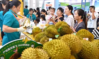 Việt Nam cạnh tranh khốc liệt thị phần sầu riêng ở Trung Quốc