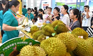 Việt Nam cạnh tranh khốc liệt thị phần sầu riêng ở Trung Quốc