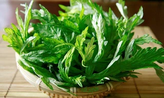 Sai lầm khi ăn ngải cứu có thể dẫn đến ngộ độc, động kinh,... biết mà tránh xa kẻo 'hối không kịp'