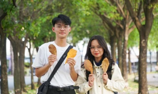 Lộc vừng thay lá, nhuộm vàng mùa thu Sài Gòn