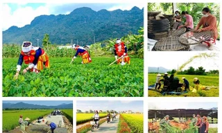 Cơ bản hoàn thành các nhiệm vụ về Chương trình MTQG DTTS của cấp trung ương