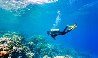 Lặn biển ở Nha Trang là trải nghiệm hàng đầu châu Á