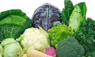 Ảnh minh họa: Internet