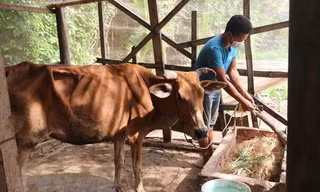 Kiên Giang giải ngân vốn phát triển KT-XH vùng dân tộc thiểu số đạt 29 tỷ đồng