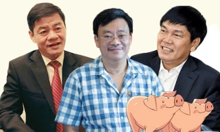 Quay về làm nông, tỷ phú USD Việt Nam mở trại nuôi lợn