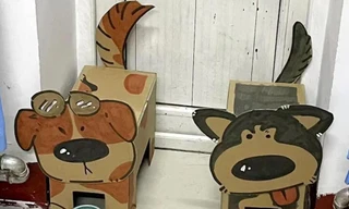 Giới trẻ Trung Quốc rộ trào lưu nuôi ‘thú cưng’ siêu đáng yêu bằng bìa các tông