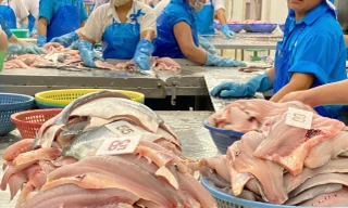 Trung Quốc chi nghìn tỷ mỗi tháng để mua cá tra Việt Nam