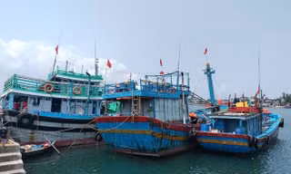 Tàu thuyền neo đậu sẵn sàng ứng phó với bão. Ảnh: Hoài Văn