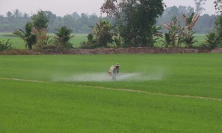 Hậu Giang giảm nghèo đa chiều, bền vững, hạn chế tái nghèo