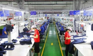 Thúc đẩy hợp tác Việt Nam-Singapore trong một số lĩnh vực cụ thể