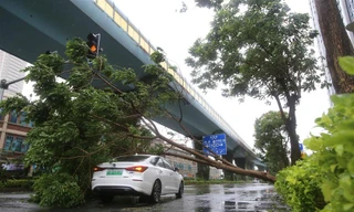 Bão Mekkhala đổ bộ Trung Quốc, thổi bay nhà cửa với sức gió cực mạnh