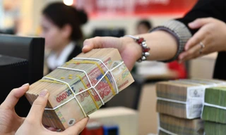 Đề xuất miễn thuế với thu nhập từ bán tín chỉ carbon, lãi trái phiếu xanh