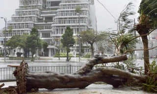 Bão lớn đổ bộ Nhật Bản, gần 300 chuyến bay bị hủy