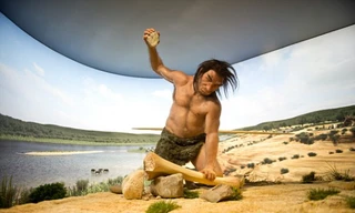 'Lò mổ' ngựa tiết lộ bí mật của loài người tuyệt chủng