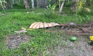 Hiện trường vụ án mạng