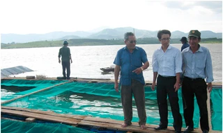 Nuôi cá lồng ở hồ Pleikrông
