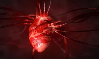 Kỳ diệu: 'Hormone tình yêu' oxytocin có thể giúp hàn gắn trái tim tan vỡ 