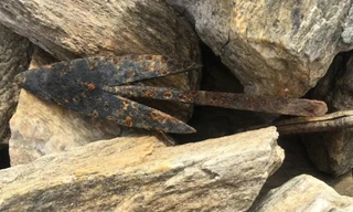 Sông băng tan chảy, lộ vũ khí 1.700 năm tuổi của thợ săn tuần lộc 