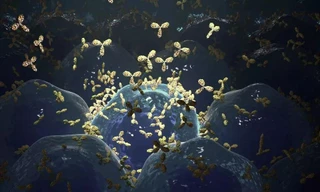 Lần đầu tiên các nhà khoa học dùng phương pháp điều trị ung thư làm giảm bệnh tự miễn dịch 