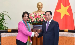 UNDP sẵn sàng hỗ trợ và đồng hành với Việt Nam trong phục hồi và phát triển kinh tế - xã hội 