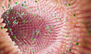 Mỹ phê duyệt phương pháp điều trị đầu tiên được làm từ... phân người 