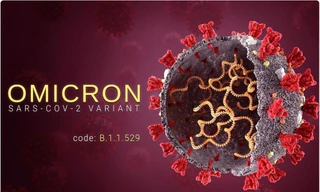 Biến thể Omicron sẽ xóa sổ biến thể Delta mãi mãi?