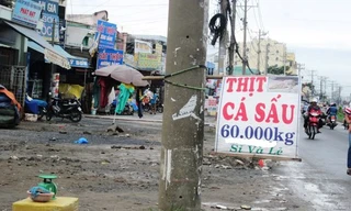 Ba ba, cá sấu 'đặc sản' bán ở... vỉa hè