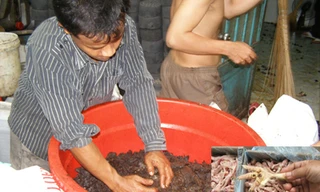 Công nghệ của kẻ vô lương