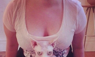 Nở rộ trào lưu chụp ảnh khoe đồ vật và....ngực