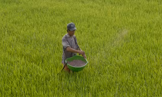 Vật tư nông nghiệp như ma trận