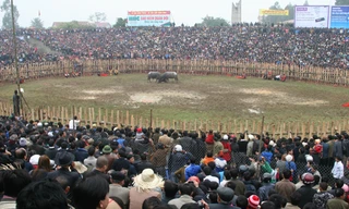 “Chọi” người giữa hội đấu ông Cầu Hải Lựu