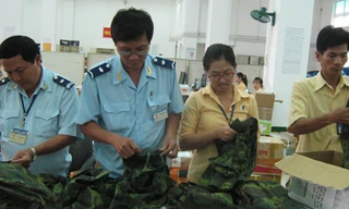 Quân trang quân dụng nhập khẩu trái phép