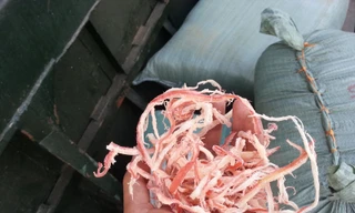 Bắt giữ gần một tấn 'mực khô' nghi làm bằng cao su