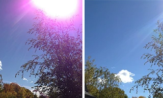 Apple phủ nhận lỗi camera trên iPhone 5