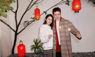 Triệu Lệ Dĩnh và Phùng Thiệu Phong ly hôn, việc phân chia tài sản tỷ đô khá là bất ngờ