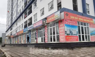 Môi giới BĐS mùa dịch, chỉ 1% sàn có doanh thu ổn định