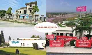 Dự án cũ thổi giá 'dựng ngược', tuổi xây nhà năm Tân Sửu 2021 đẹp nhất?