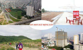 Hàng chục sàn môi giới BĐS hoạt động 'chui', nâng tầng trên đất 'vàng'