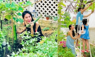 Khu vườn đủ thứ rau quả sạch trong biệt thự của Công Vinh - Thủy Tiên