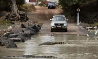 Con đường tử thần chạy qua sông cá sấu
